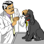 0_veterinaire[1]